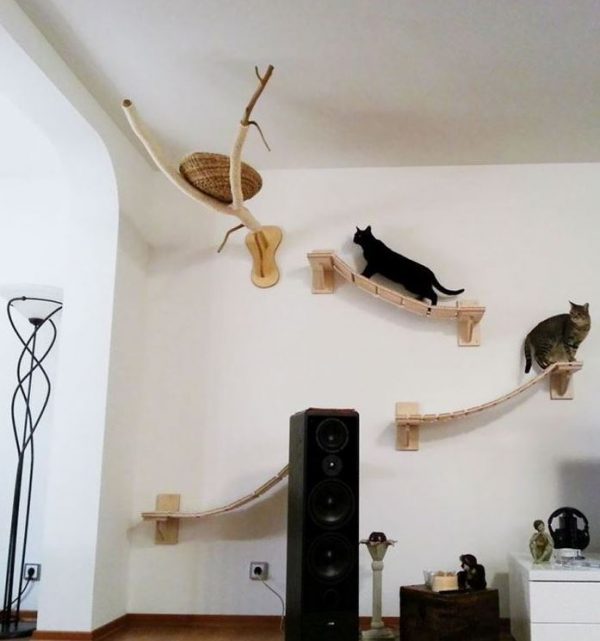 Modern cat furniture 1