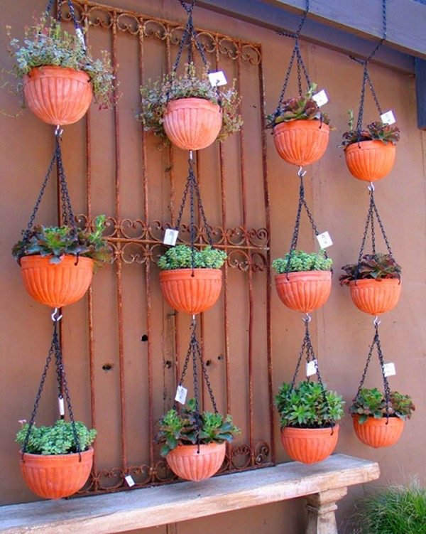 vertical garden