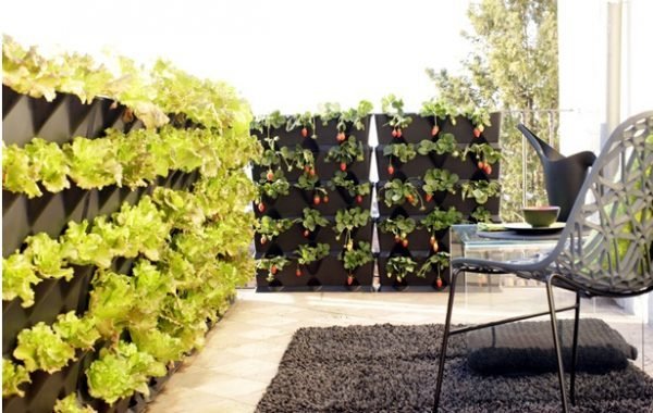 diy vertical garden ideas