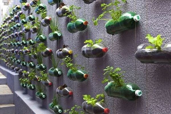 vertical-garden-recycled-pet-bottles