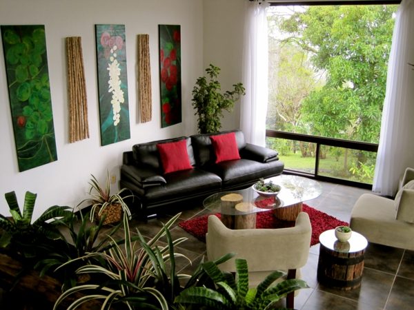 indoor plants decoration