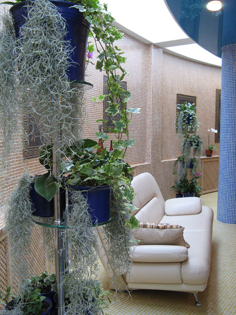 decorating with plants