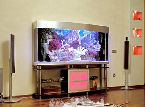 cool aquarium decoration ideas