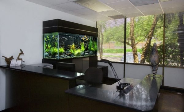 aquarium for office