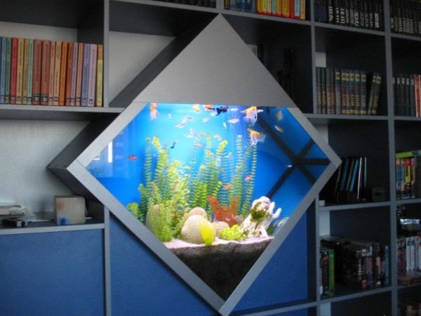 aquarium at home