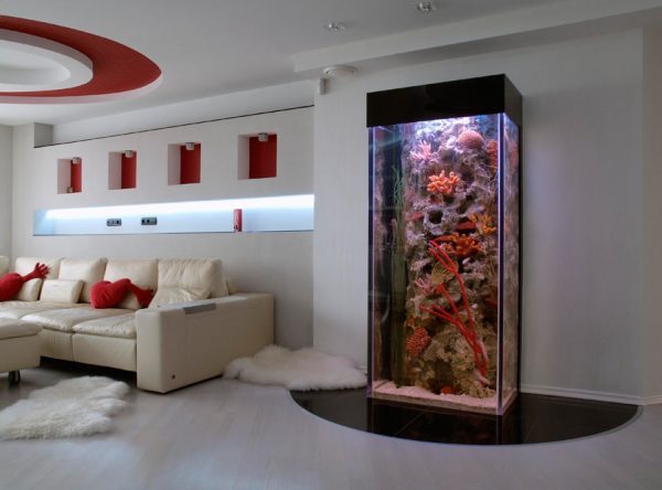 aquarium ideas