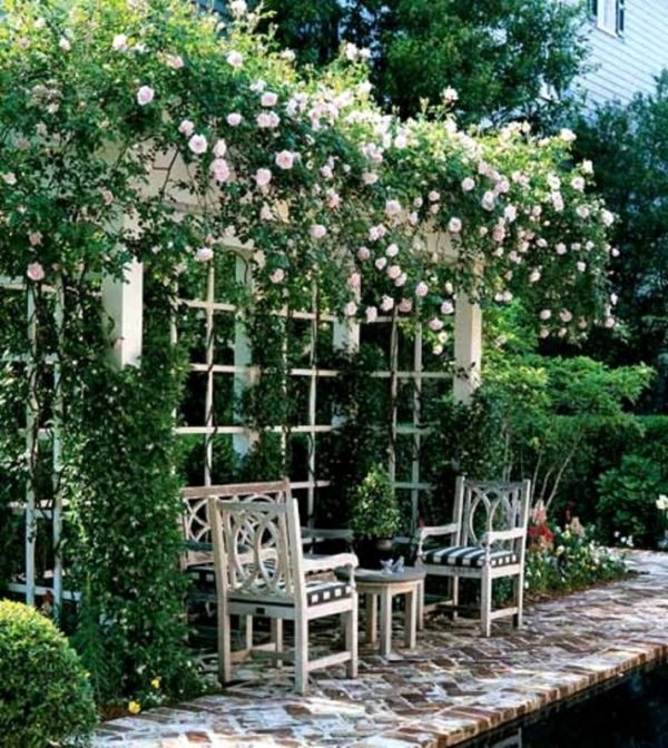 backyard rose gardens