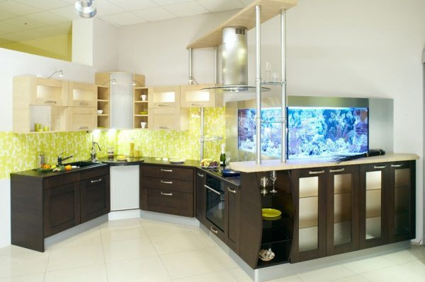 aquarium kitchen