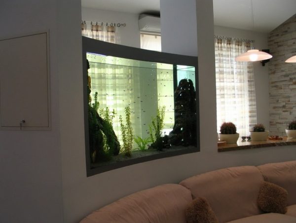 aquarium decor ideas