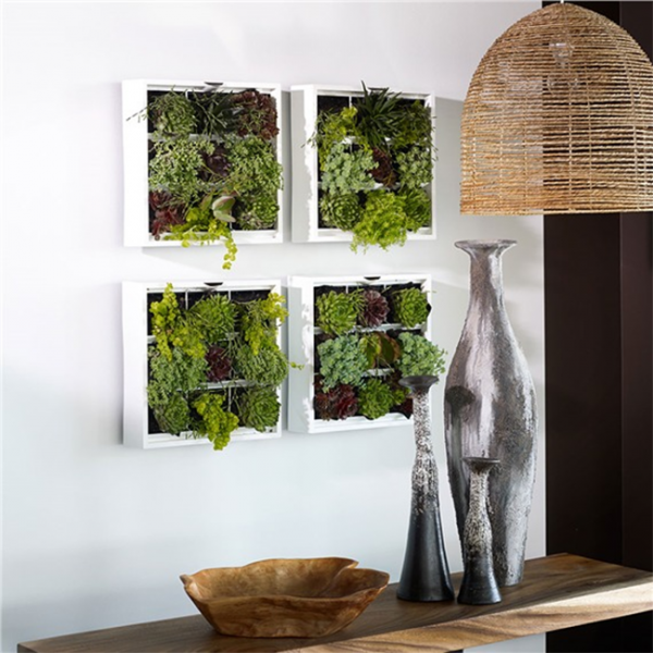 how to make a plant wall