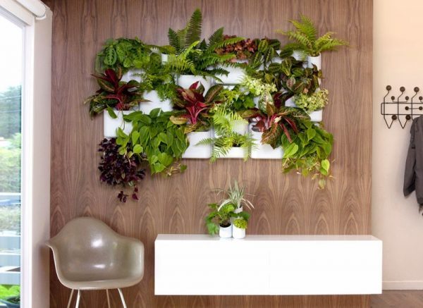 vertical plant wall