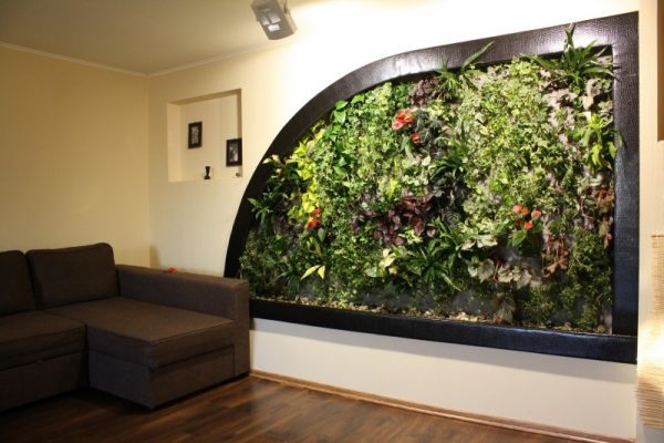 living plant walls