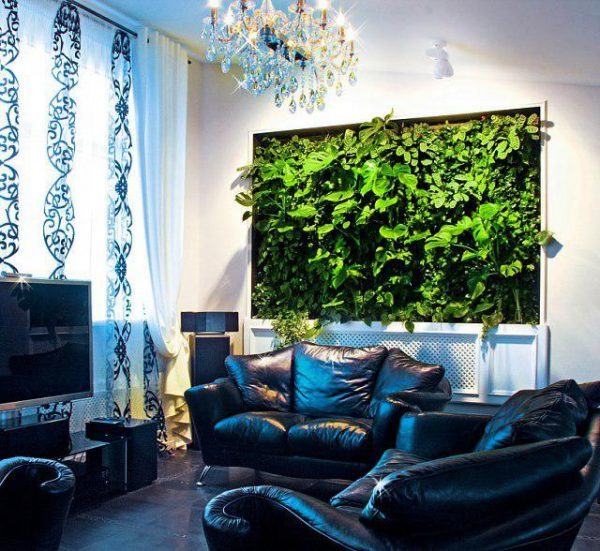 indoor plant wall