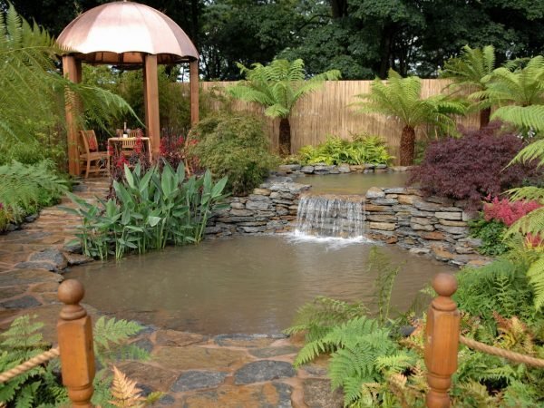 garden pond waterfall designs