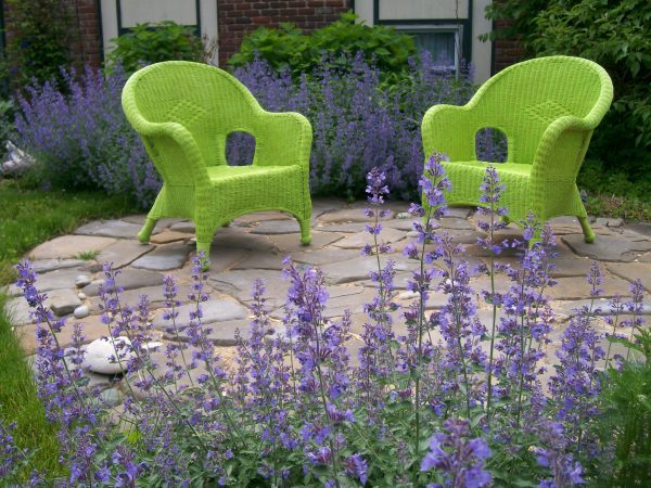 painted wicker chairs