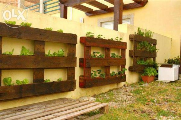 pallet vertical garden