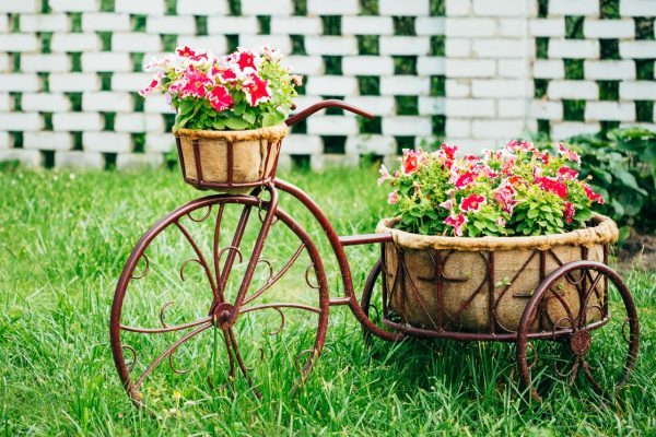 bicycle flower planters