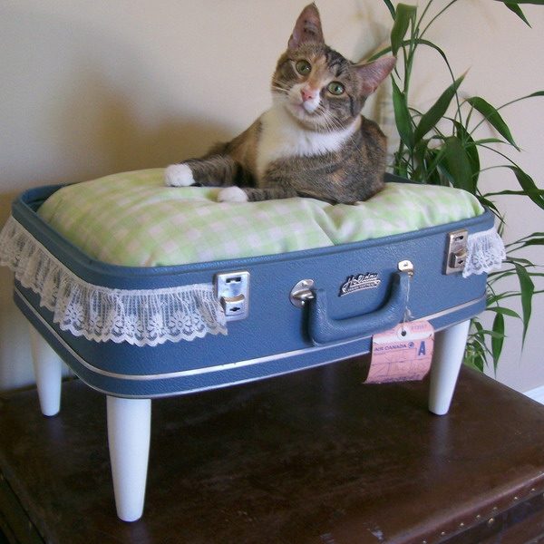 suitcase bed