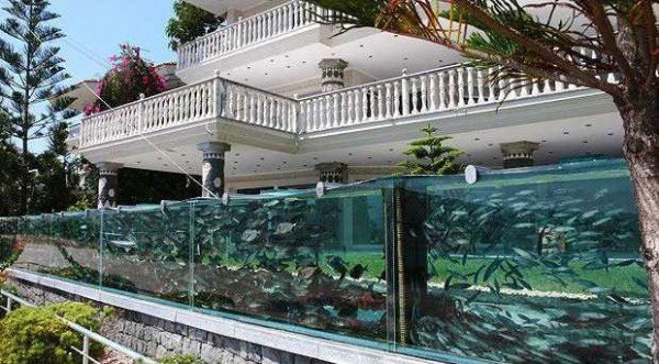 modern aquarium