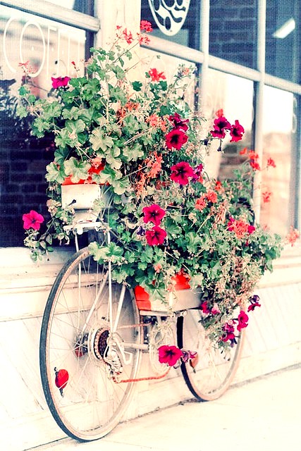 bicycle decorations