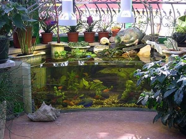 fish aquarium decor