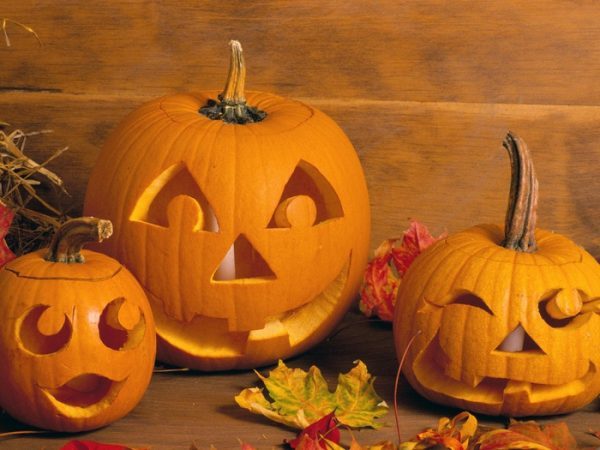 pumpkin faces for halloween 