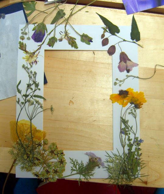 dried flower pictures