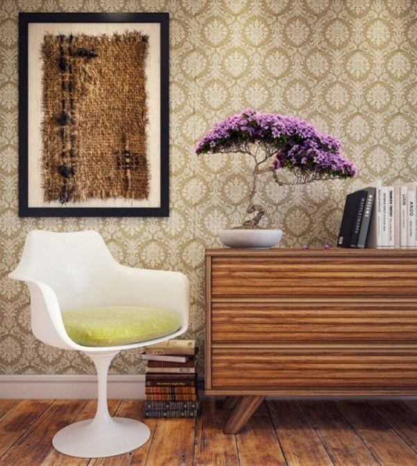 modern interior decorating with bonsai plant