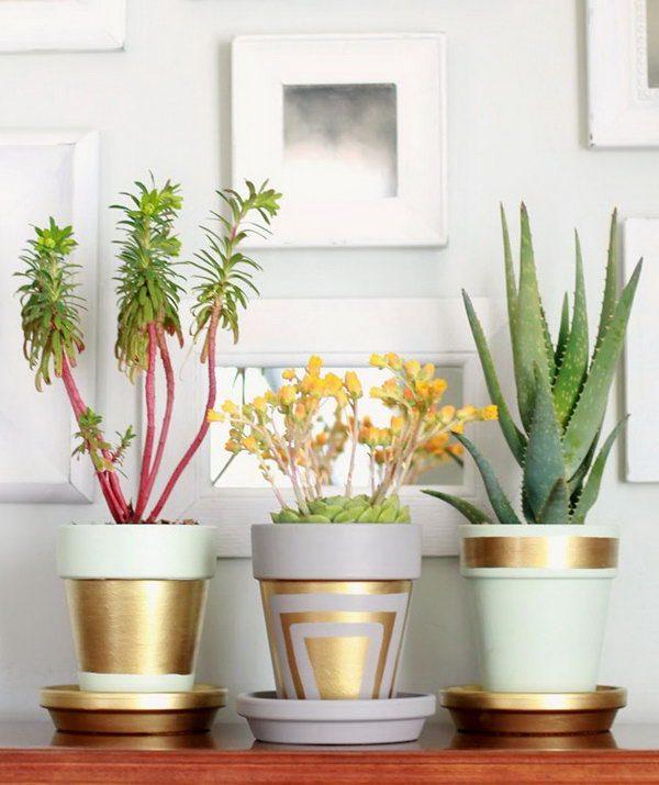 flower pots ideas