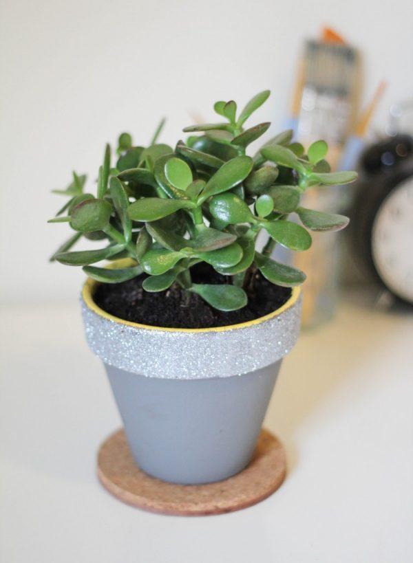 decorative plant pot 