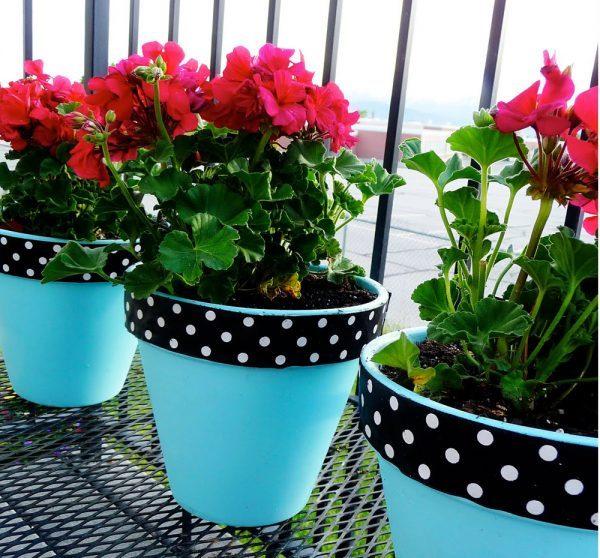 decorating plant pots