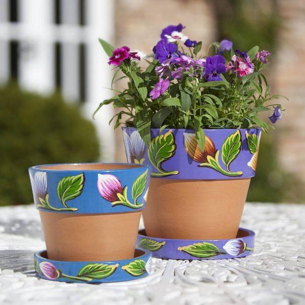 beautiful flower pots