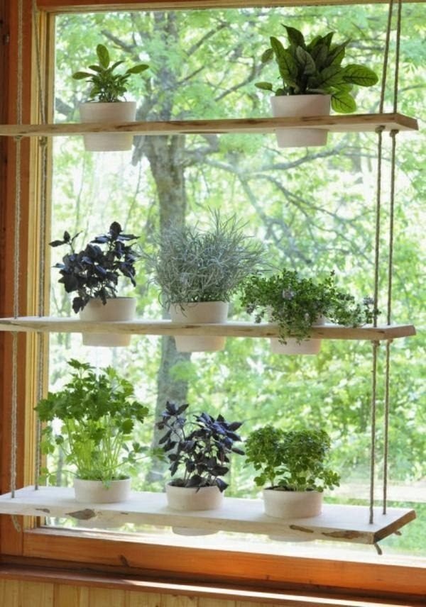 window plant hanger 