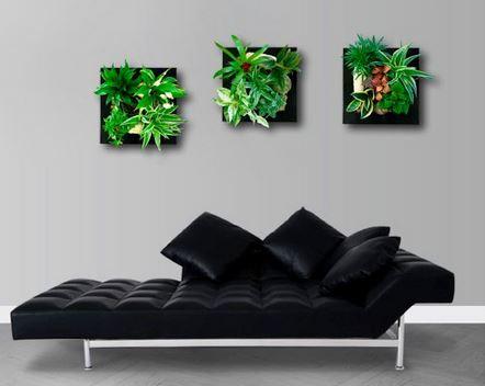 living wall decor