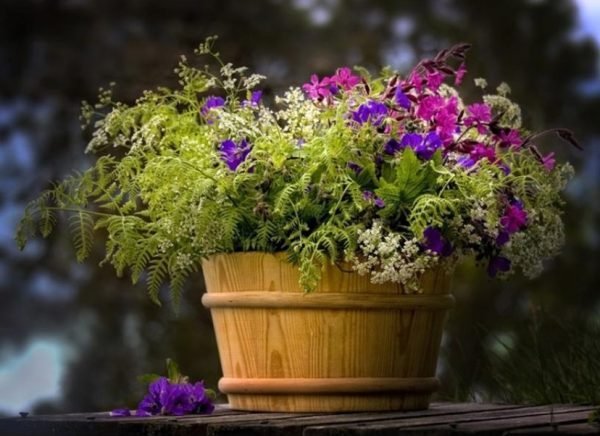 diy wooden planters