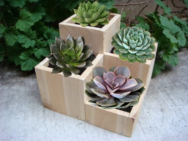 wooden plant stands