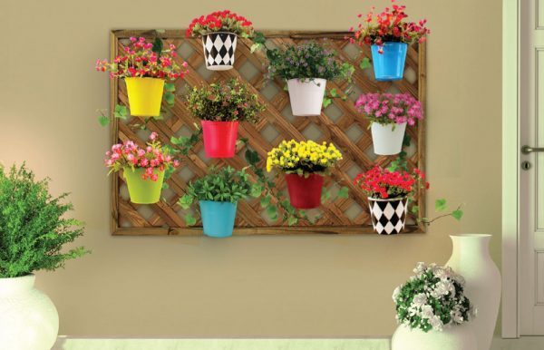 vertical wall garden plants