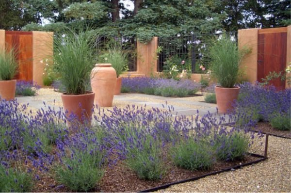 lavender garden 2 