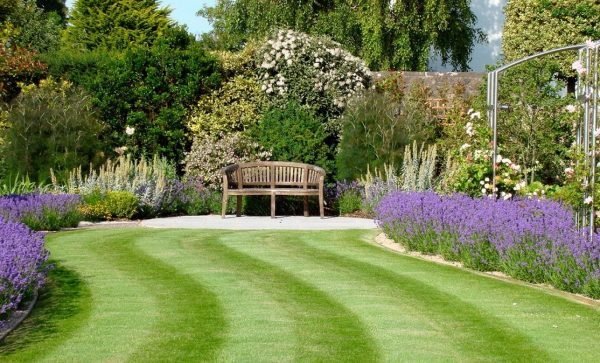 landscaping with lavender 1