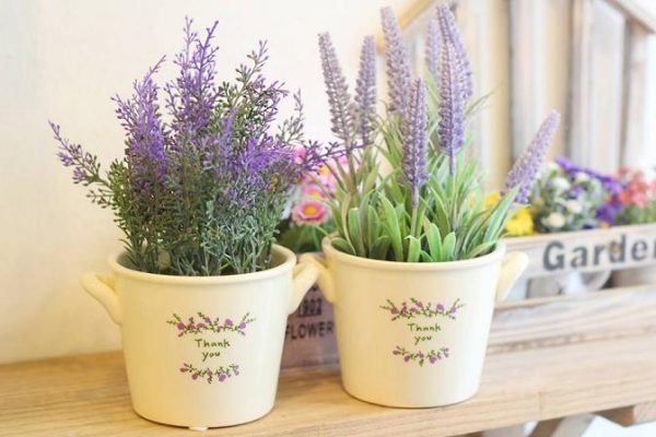 lavender decoration ideas