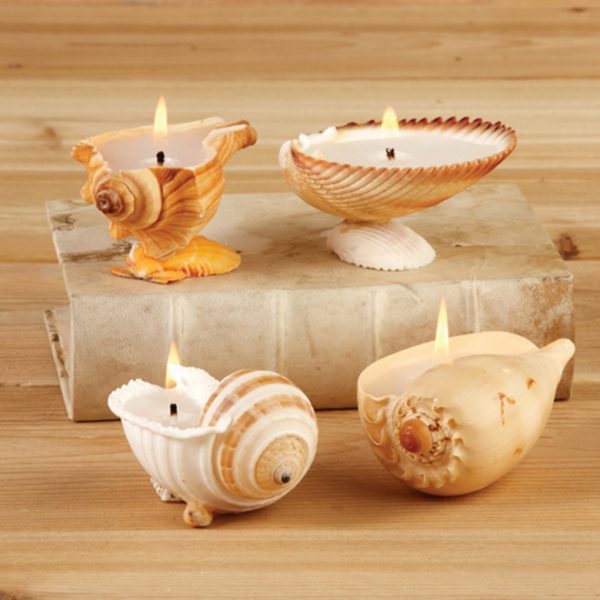 candles with seashells 