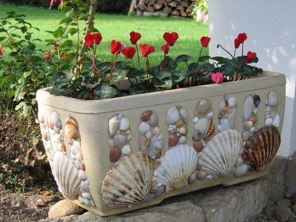decorating with shells ideas 
