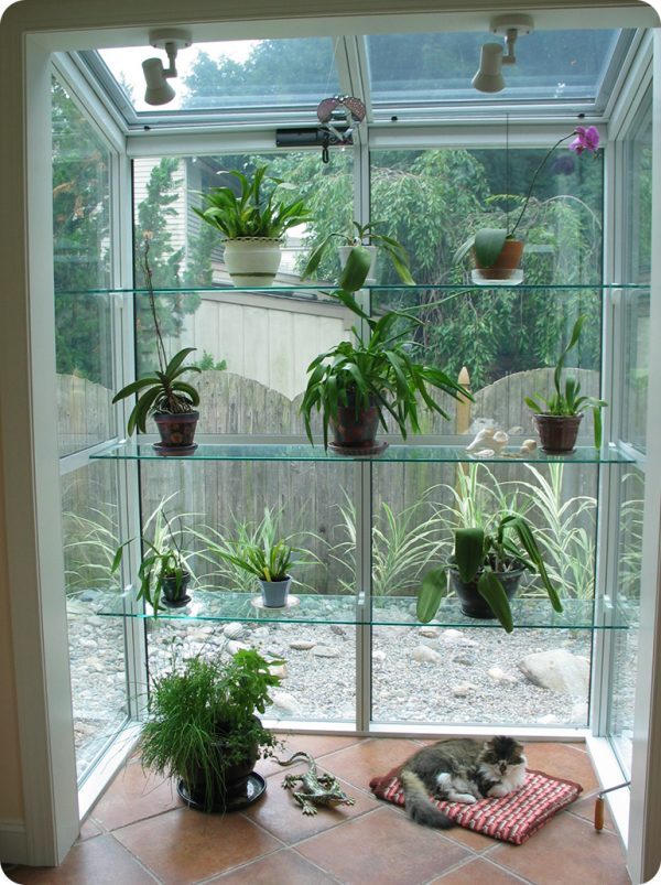 indoor window garden 