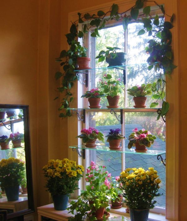 vertical window garden 