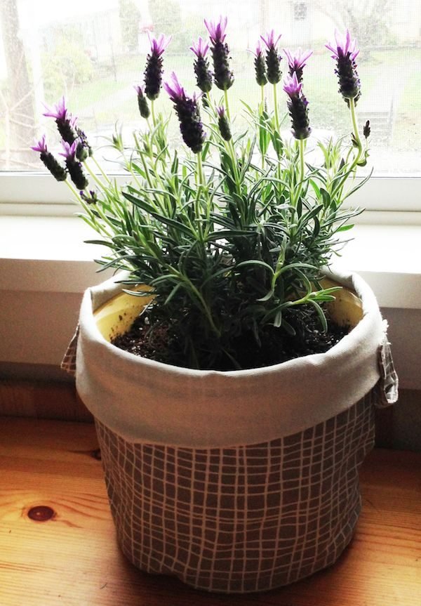 lavender home decor 