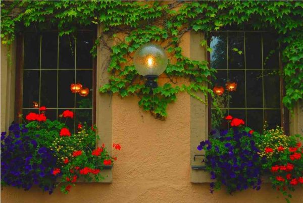 window box planters 