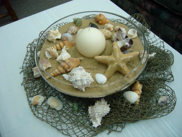 seashells for decoration