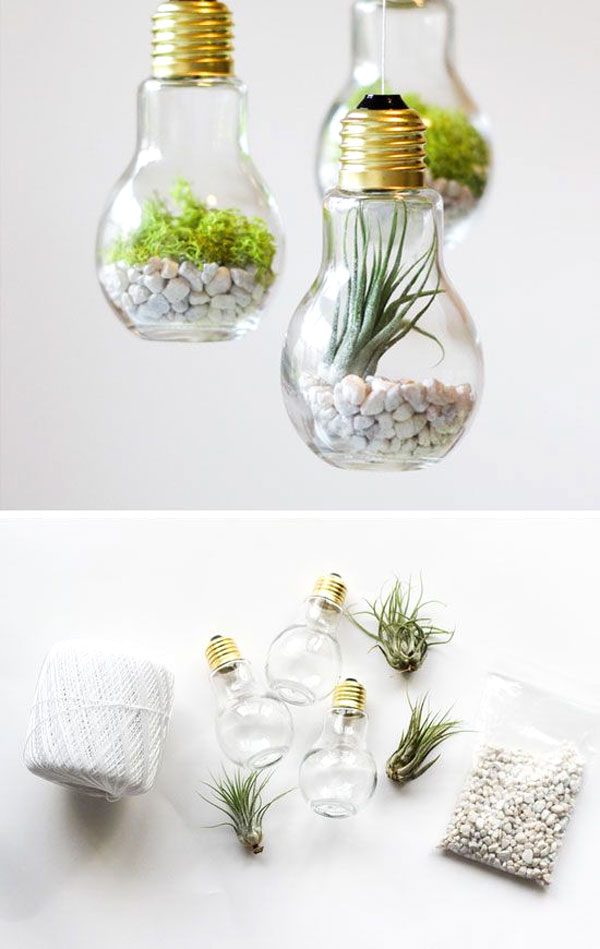 how-to-make-a-lightbulb-terrarium