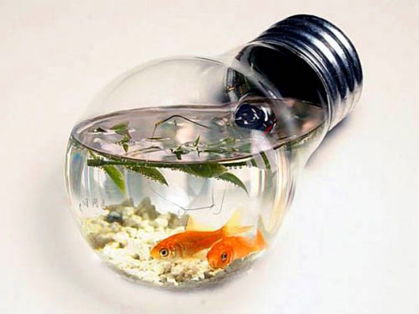light-bulb-for-aquarium