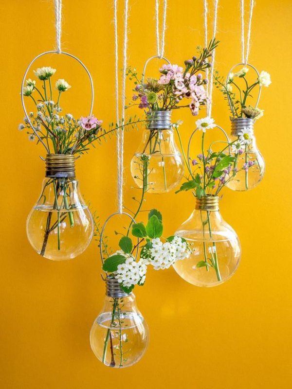 light-bulbs-for-plants